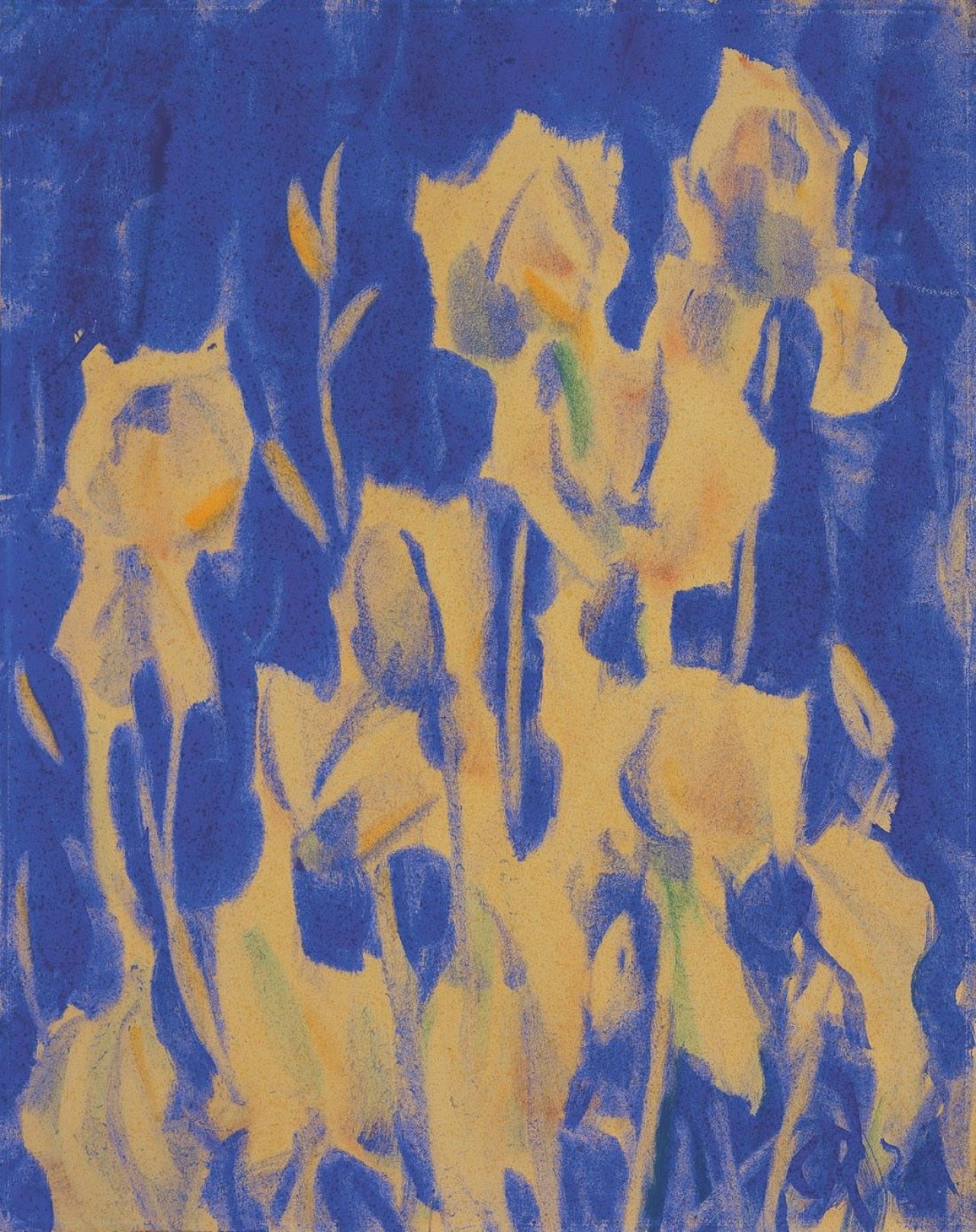 Auf diesem Bild ist das folgende Kunstwerk zu sehen: Christian Rohlfs. Schwertlilien. 1925.