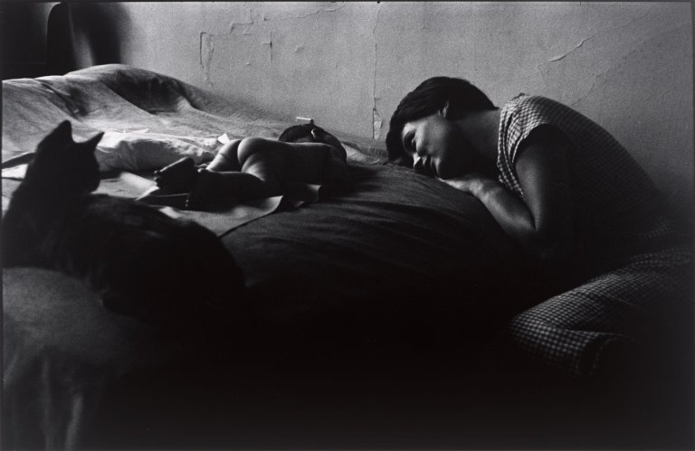Auf diesem Bild ist das folgende Kunstwerk zu sehen: Elliott Erwitt. „New York City“. 1953.