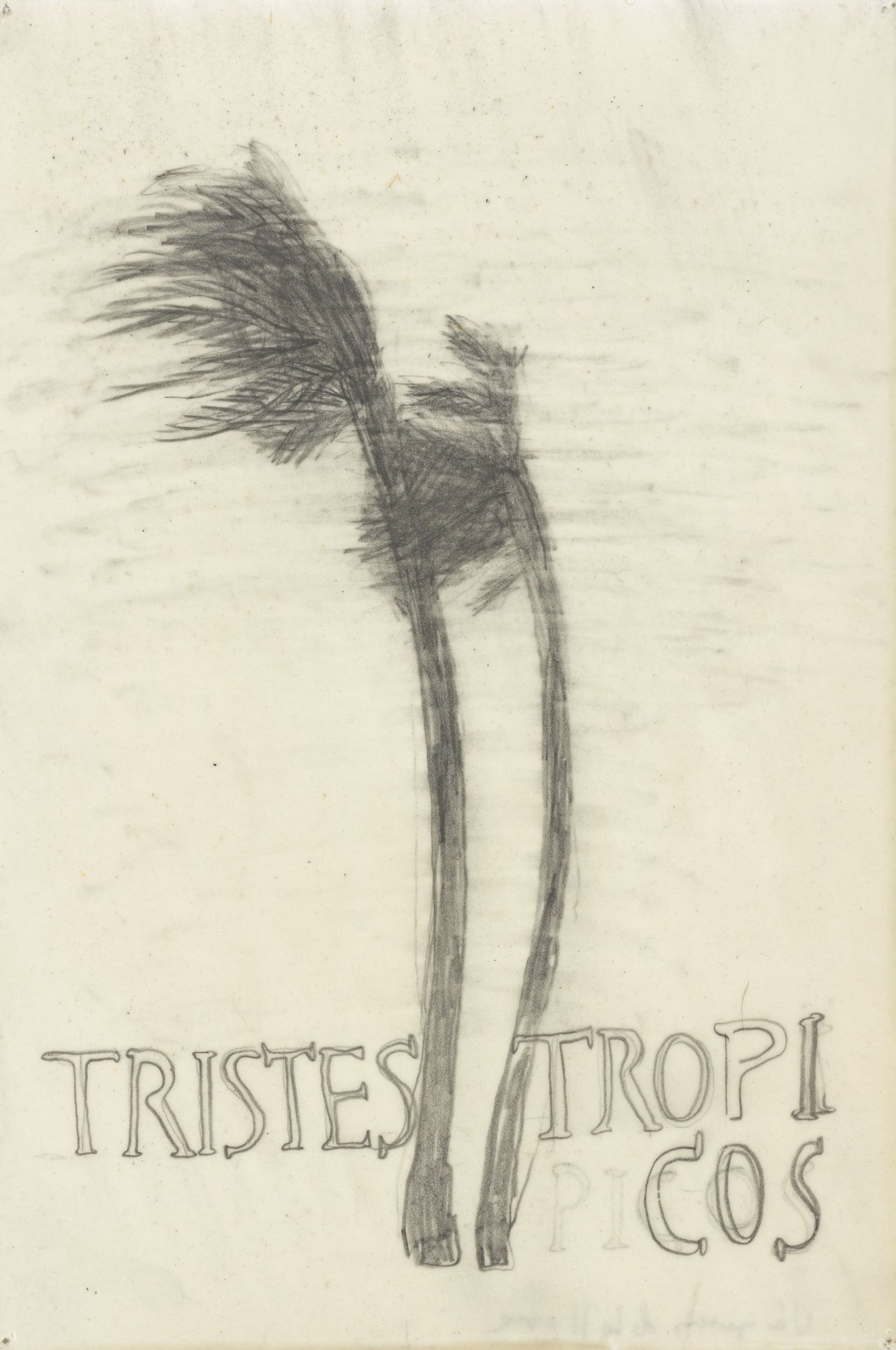 Auf diesem Bild ist das folgende Kunstwerk zu sehen: Sandra Vásquez de la Horra. „TRISTES TROPICOS“. 2008.