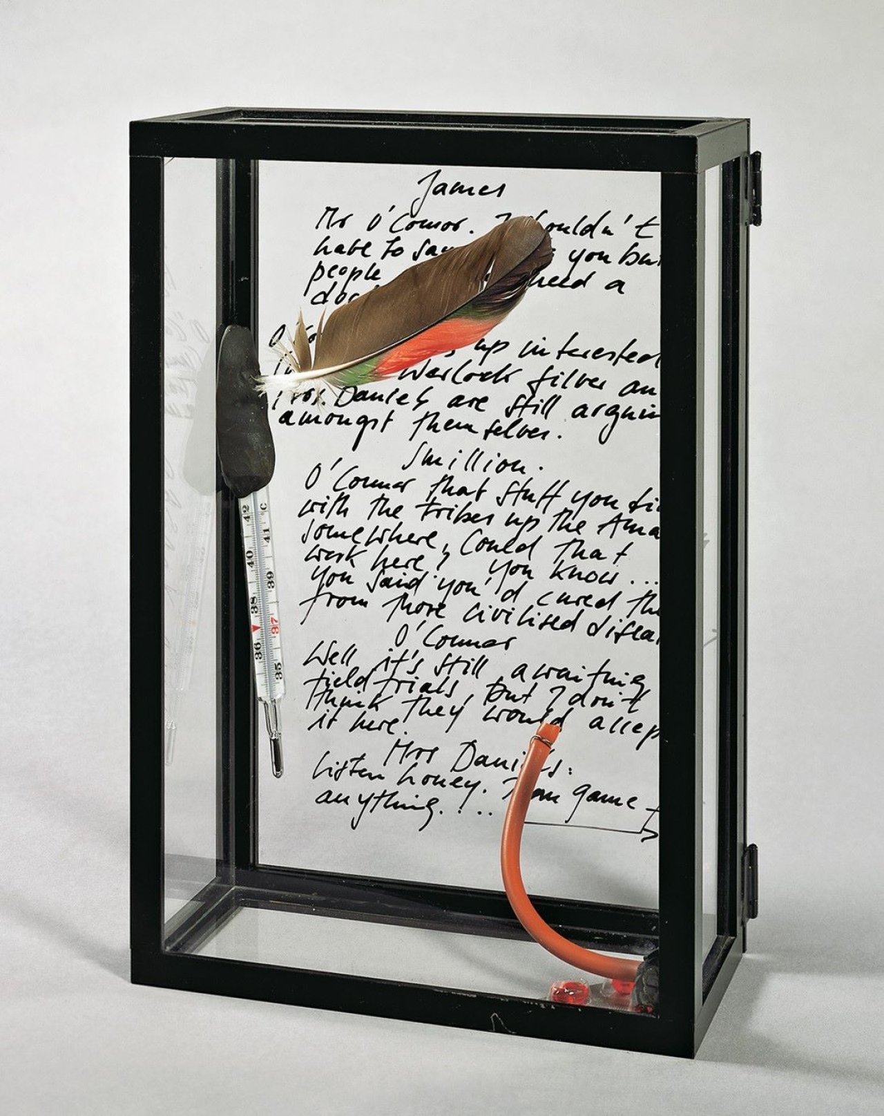 This picture shows the following artwork: Rebecca Horn. Taking over. 1987.