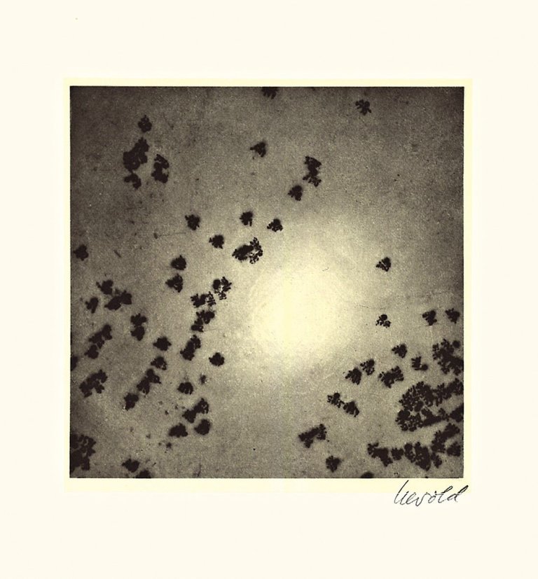 Auf diesem Bild ist das folgende Kunstwerk zu sehen: Georg Herold. Kaviar. 1991.