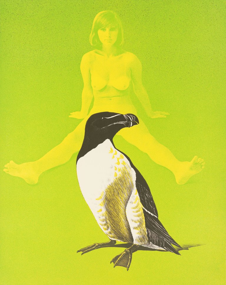 Auf diesem Bild ist das folgende Kunstwerk zu sehen: Mel Ramos. „Annie and the Auk“. 1969.