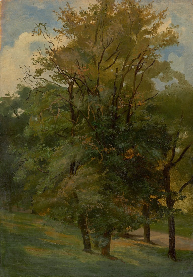 Auf diesem Bild ist das folgende Kunstwerk zu sehen: Friedrich Preller d. J.. Bäume bei Weimar.