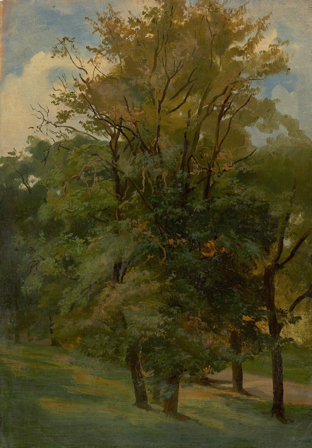 Auf diesem Bild ist das folgende Kunstwerk zu sehen: Friedrich Preller d. J.. Bäume bei Weimar.