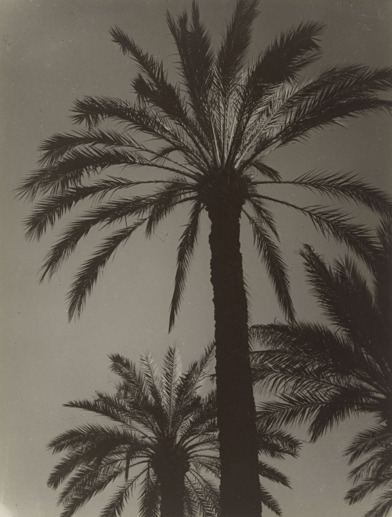 Auf diesem Bild ist das folgende Kunstwerk zu sehen:  Brassaï (d.i. Halász, Gyula). Monte Carlo. 1933.