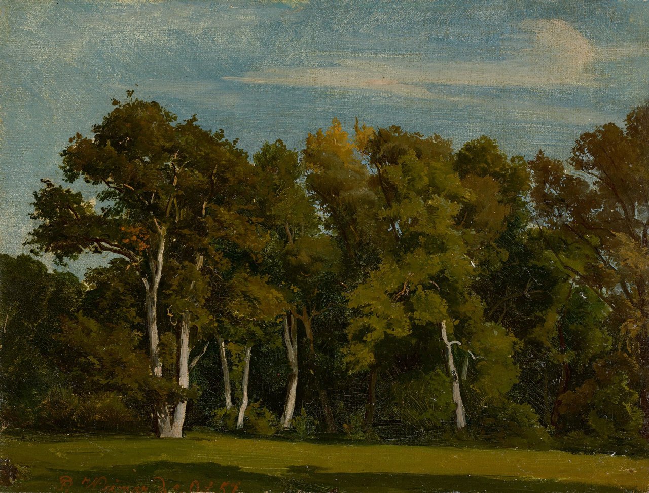Auf diesem Bild ist das folgende Kunstwerk zu sehen: Friedrich Preller d. J.. Studie aus dem Park in Weimar. 1857.