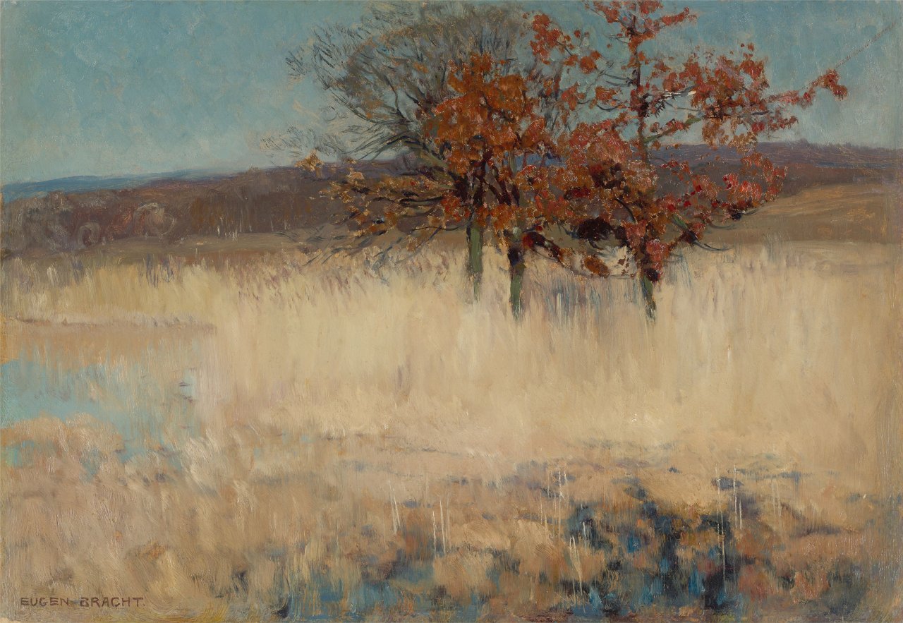 Auf diesem Bild ist das folgende Kunstwerk zu sehen: Eugen Bracht. Landschaft mit Bäumen und Weiher. 1898-1901.