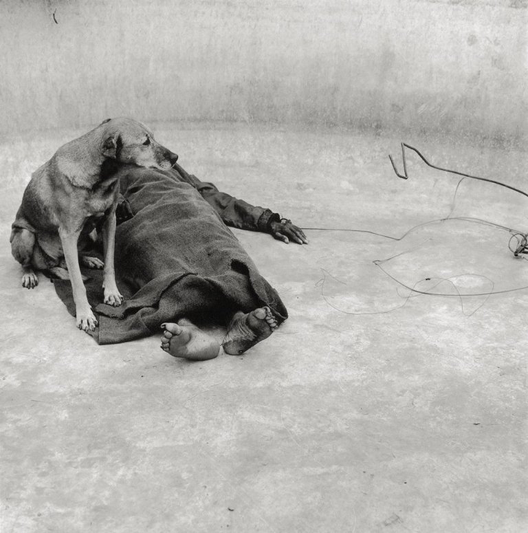 Auf diesem Bild ist das folgende Kunstwerk zu sehen: Roger Ballen. „Guardian“. 2001.