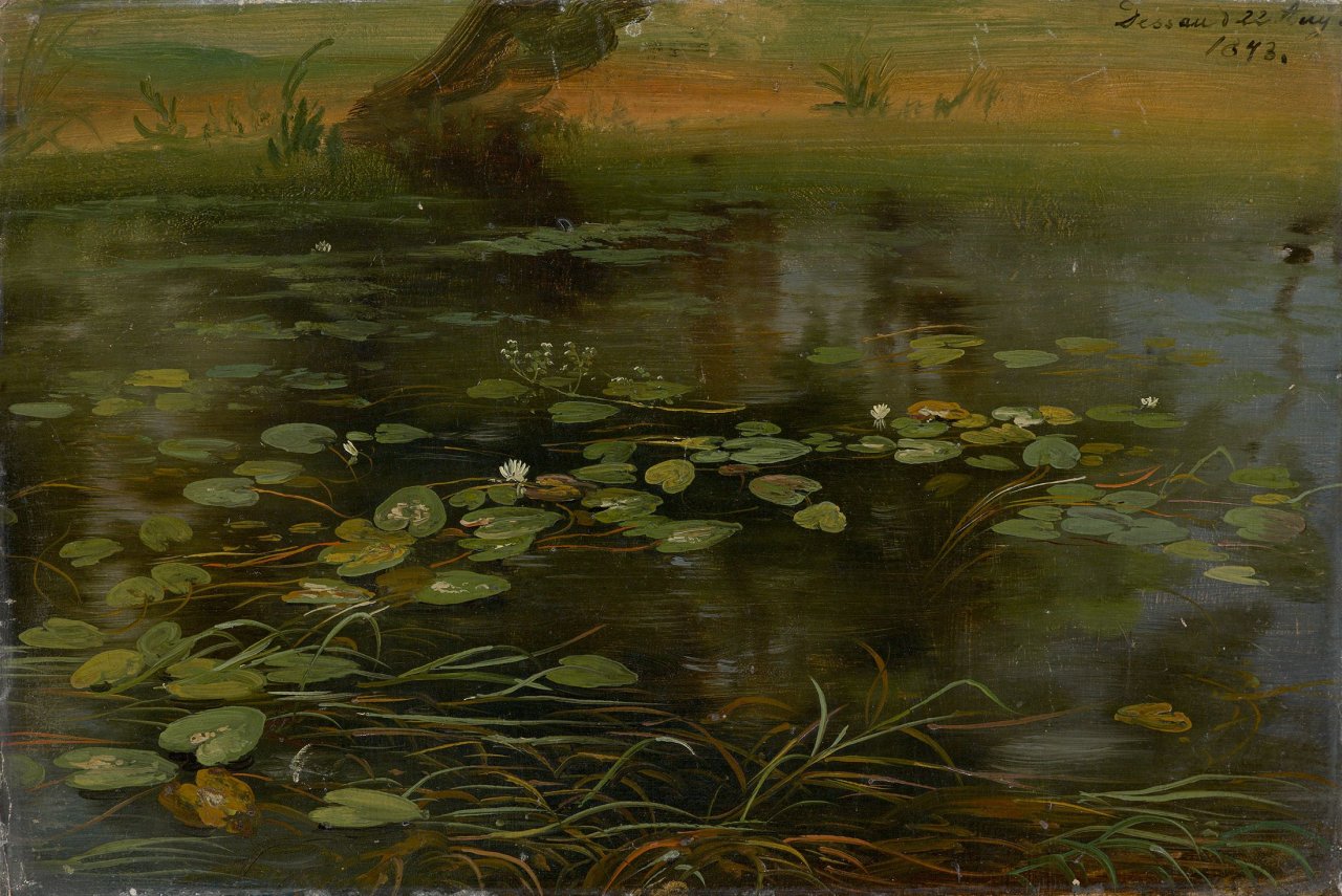 Auf diesem Bild ist das folgende Kunstwerk zu sehen: Karl Christian Sparmann. „Die weiße Wasserlilie“. 1843.