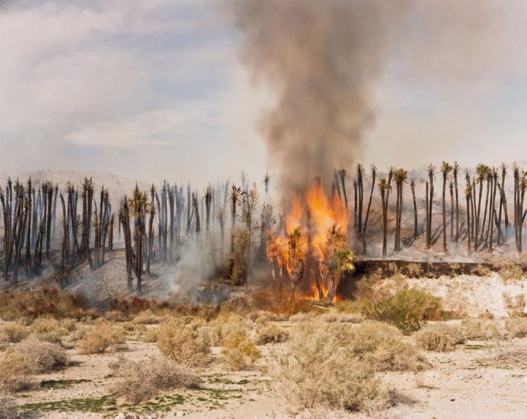 Auf diesem Bild ist das folgende Kunstwerk zu sehen: Richard Misrach. „Desert Fire # 1“.  1983.