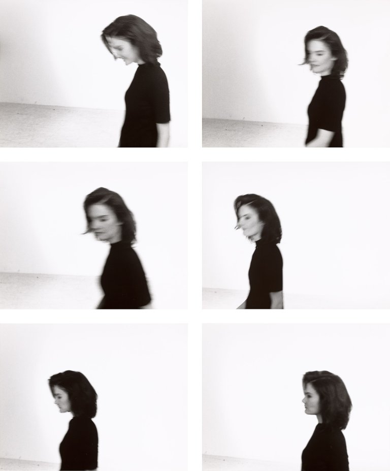 Auf diesem Bild ist das folgende Kunstwerk zu sehen: Rosemarie Trockel. „Paparazzia“. 1993.