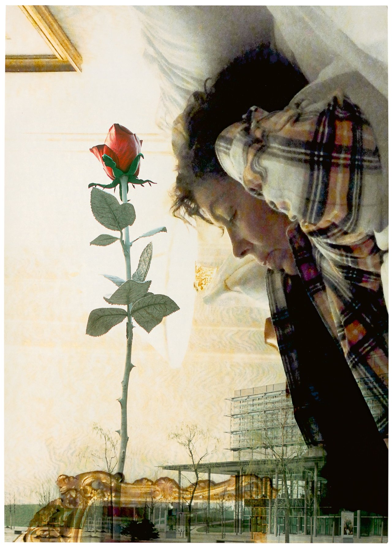 This picture shows the following artwork:  Portfolio. „Malteser Edition“. 2014.