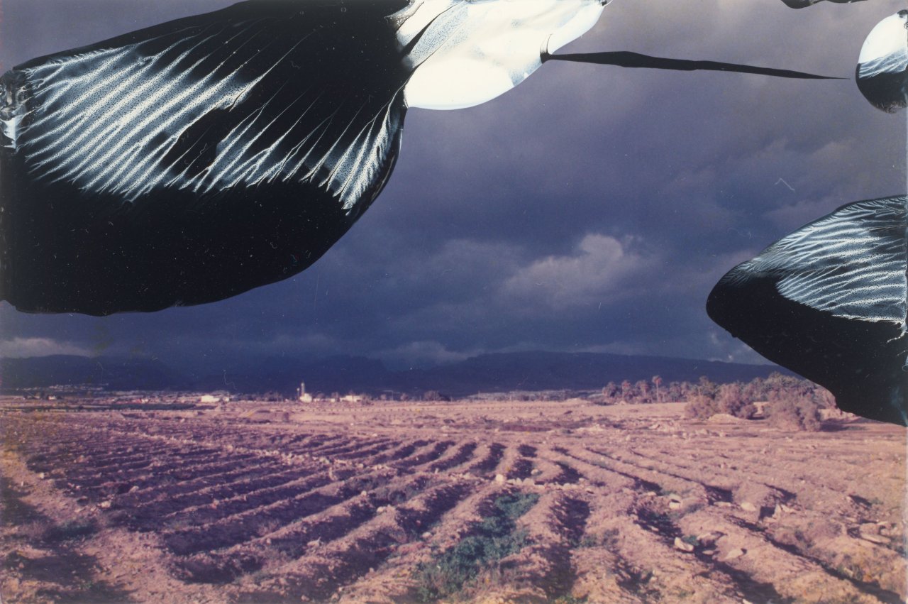 Auf diesem Bild ist das folgende Kunstwerk zu sehen: Gerhard Richter. „8.2.92“. 1992.