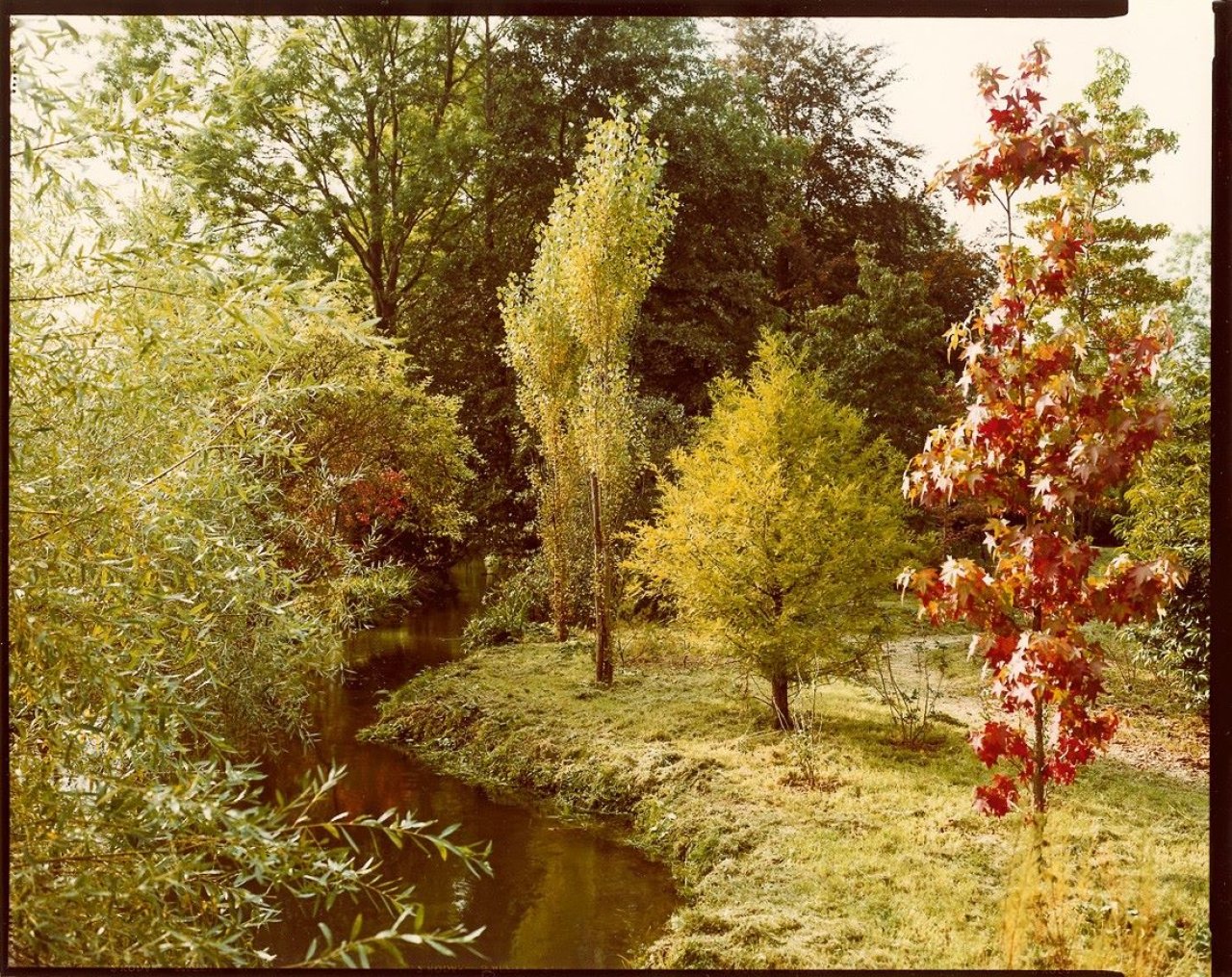 Auf diesem Bild ist das folgende Kunstwerk zu sehen: Stephen Shore. Ohne Titel (Landschaft). 1977.