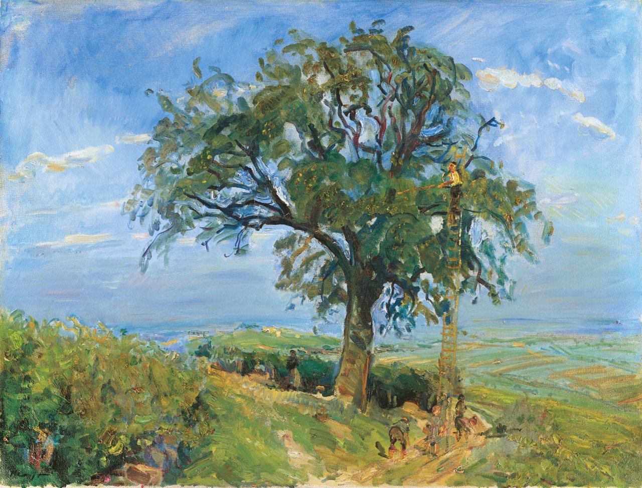 This picture shows the following artwork: Max Slevogt. Fruit harvest in the Palatinate (The pear tree). 1917.