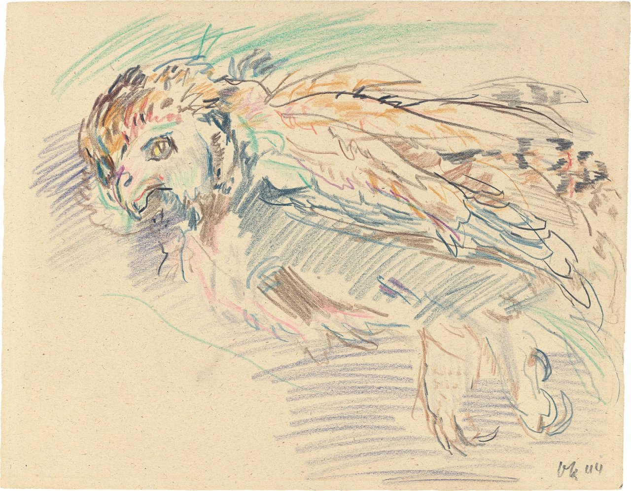 Auf diesem Bild ist das folgende Kunstwerk zu sehen: Oskar Kokoschka. Eule. 1944.
