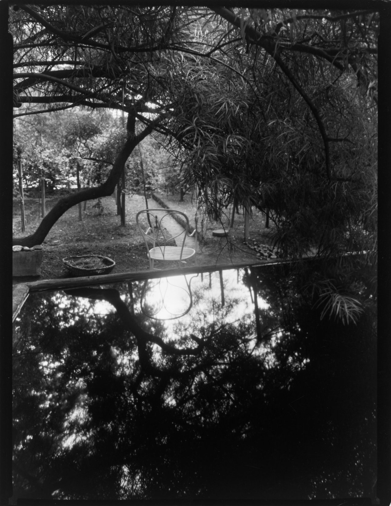 Auf diesem Bild ist das folgende Kunstwerk zu sehen: Josef Sudek. Aus dem Zyklus „Zaubergarten“, 1954–59.