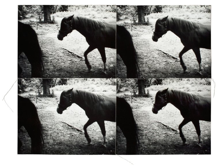 This picture shows the following artwork: Andy Warhol. Horses. 1986.