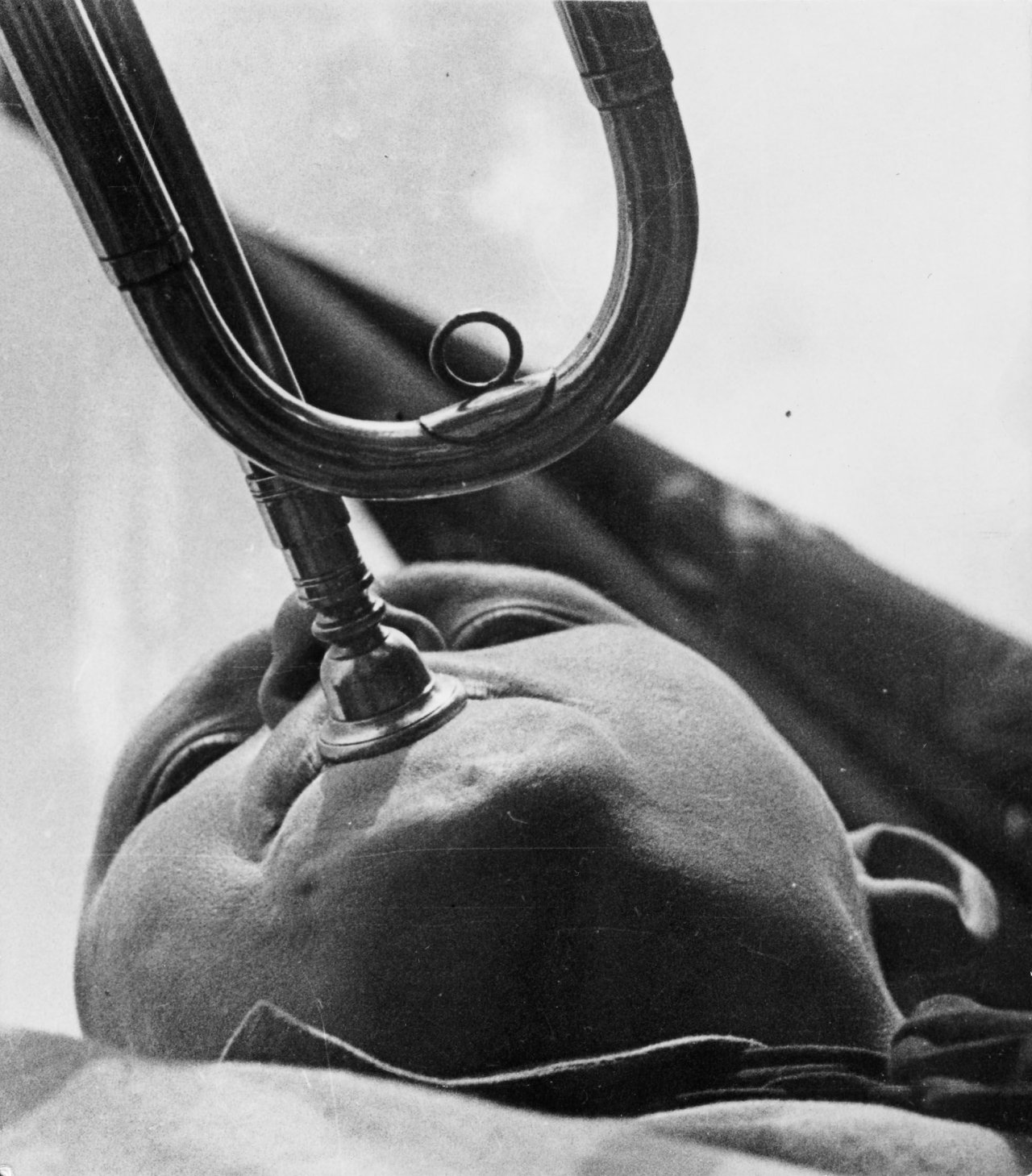 Auf diesem Bild ist das folgende Kunstwerk zu sehen: Alexander  Rodchenko. Pionier. 1930.