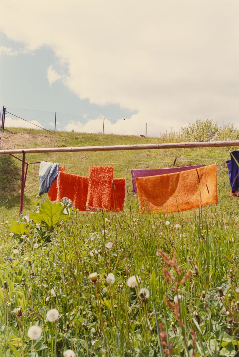 Auf diesem Bild ist das folgende Kunstwerk zu sehen: Jitka Hanzlová. Aus der Serie „Rokytník“, 1990–1994. 1991.