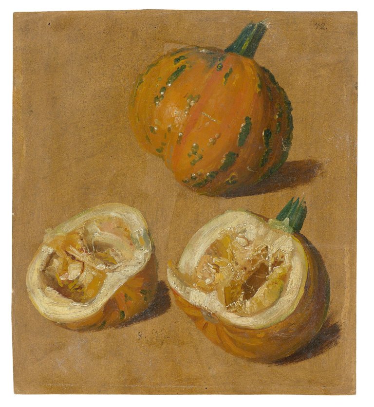 Auf diesem Bild ist das folgende Kunstwerk zu sehen: Christian Friedrich Gille. Studie von zwei Kürbissen, einer davon aufgeschnitten. 1839(?).