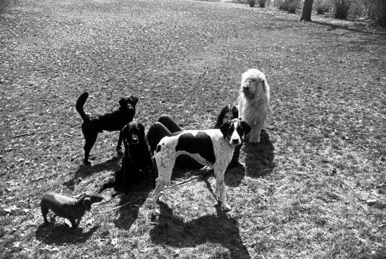 Auf diesem Bild ist das folgende Kunstwerk zu sehen: Garry Winogrand. Ohne Titel, aus der Serie „Women Are Beautiful“. 1960er-1970er Jahre.