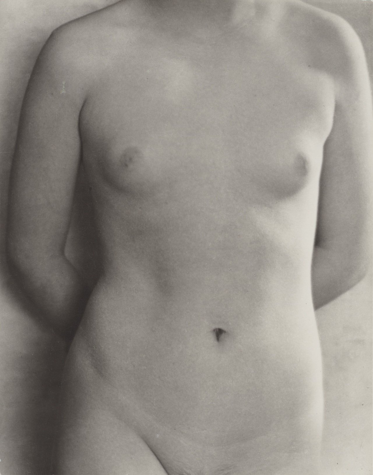 Auf diesem Bild ist das folgende Kunstwerk zu sehen: Dorothea Lange. Torso, San Francisco (Constance Dixon). 1923.