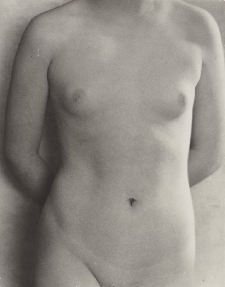 Auf diesem Bild ist das folgende Kunstwerk zu sehen: Dorothea Lange. Torso, San Francisco (Constance Dixon). 1923.