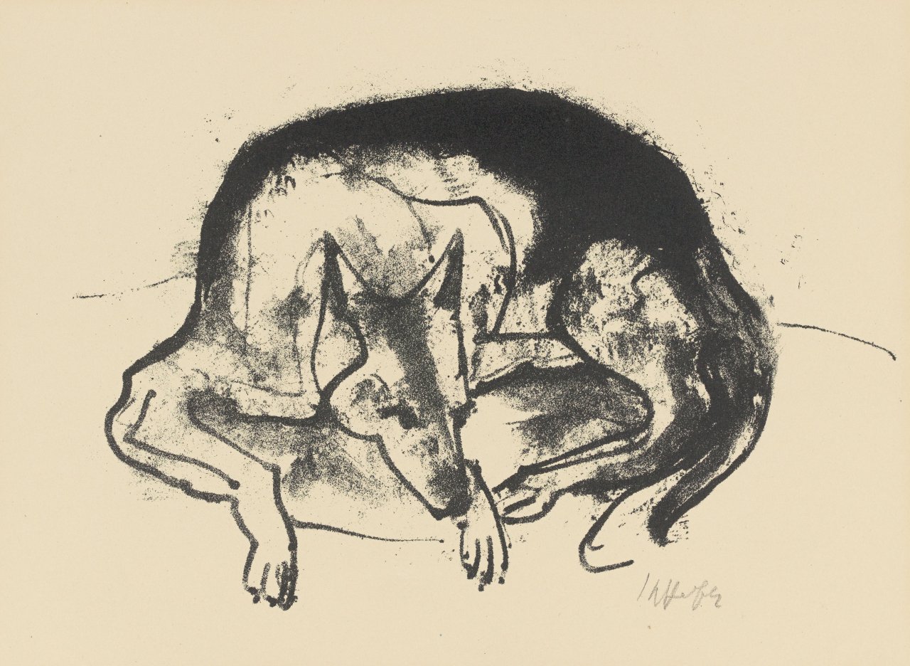 Auf diesem Bild ist das folgende Kunstwerk zu sehen: Karl Hofer. „Schäferhund I“. Vor 1949.