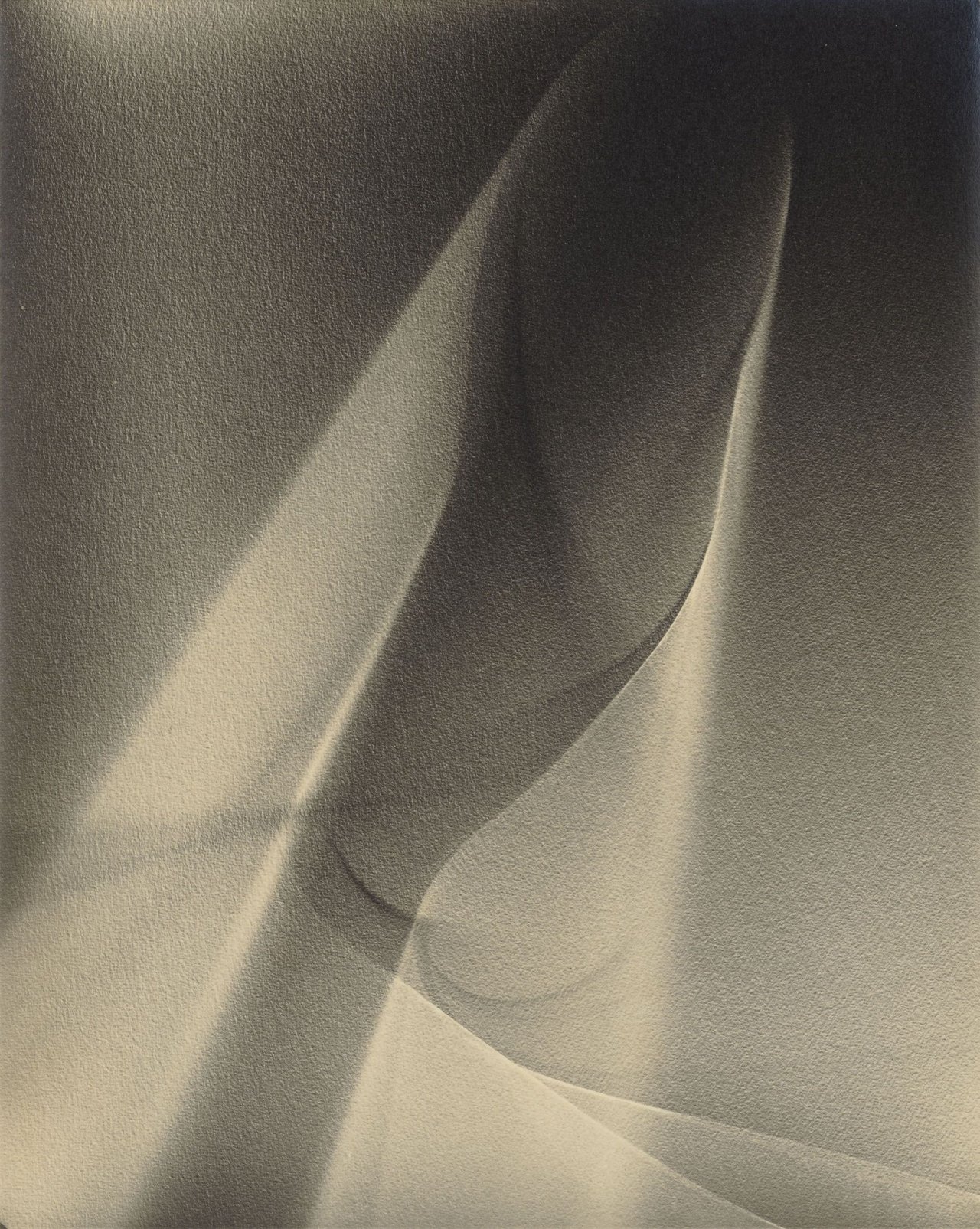 Auf diesem Bild ist das folgende Kunstwerk zu sehen: Lotte Jacobi. Photogenic. 1946–1955.