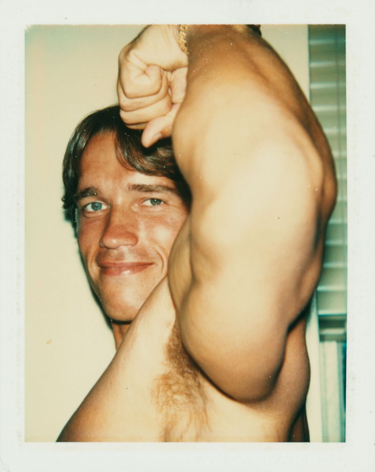 This picture shows the following artwork: Andy Warhol. Arnold Schwarzenegger. 1977.