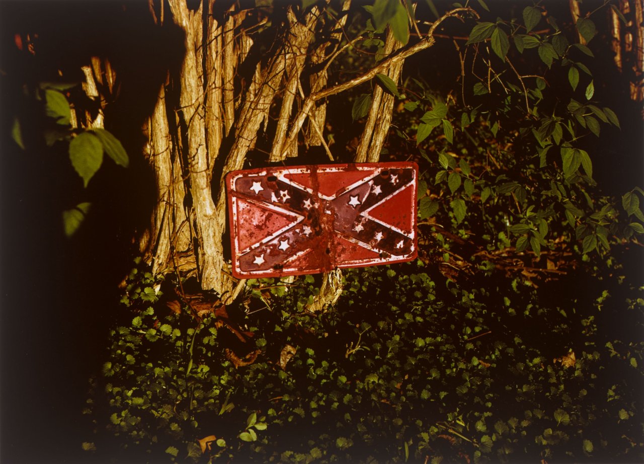 This picture shows the following artwork: William Eggleston. Untitled (Rebel Flag License Plate on Tree). 1973.