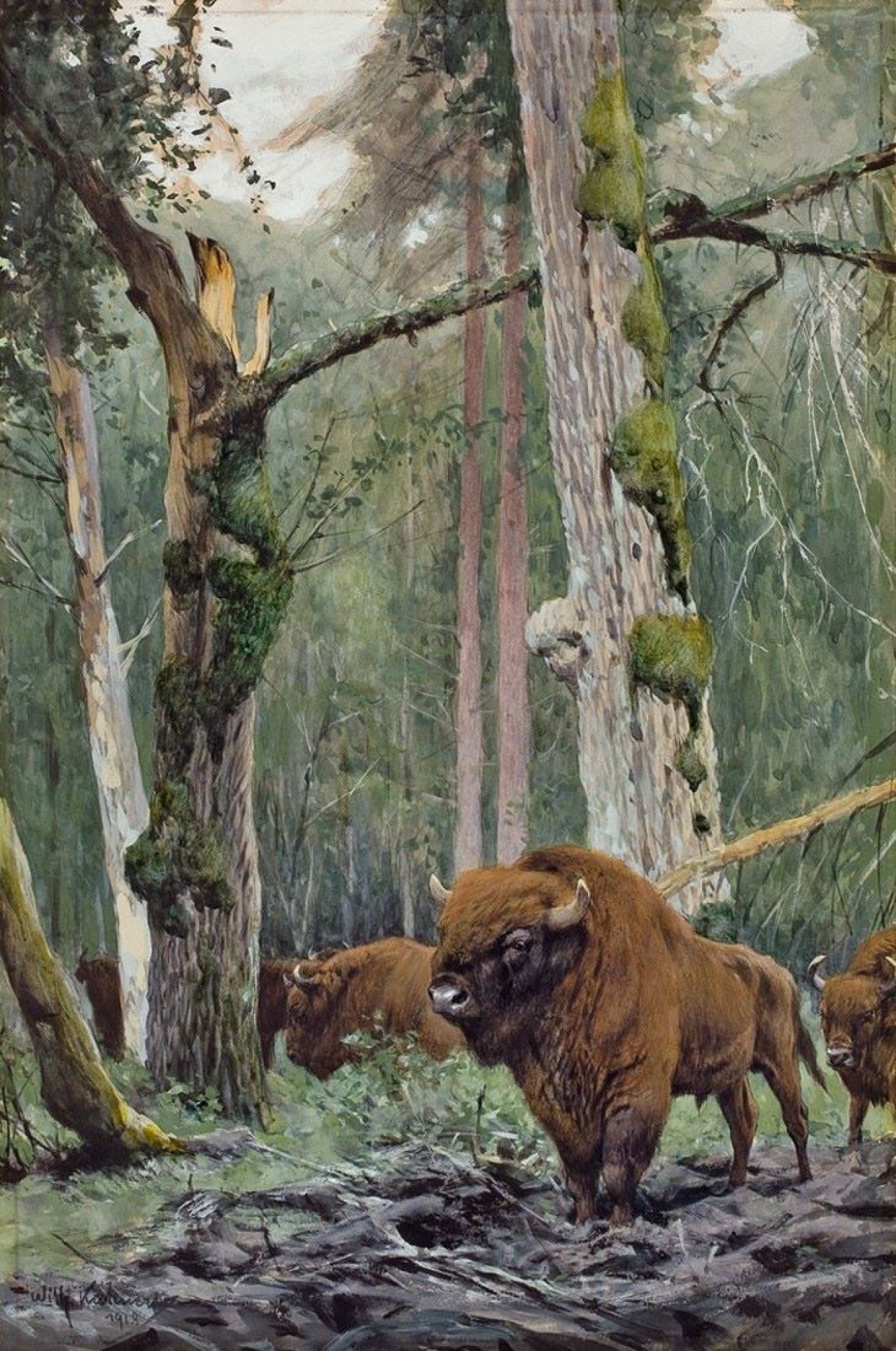 Auf diesem Bild ist das folgende Kunstwerk zu sehen: Wilhelm Kuhnert. „Im Urwaldinnern (Wisente)“. 1918.