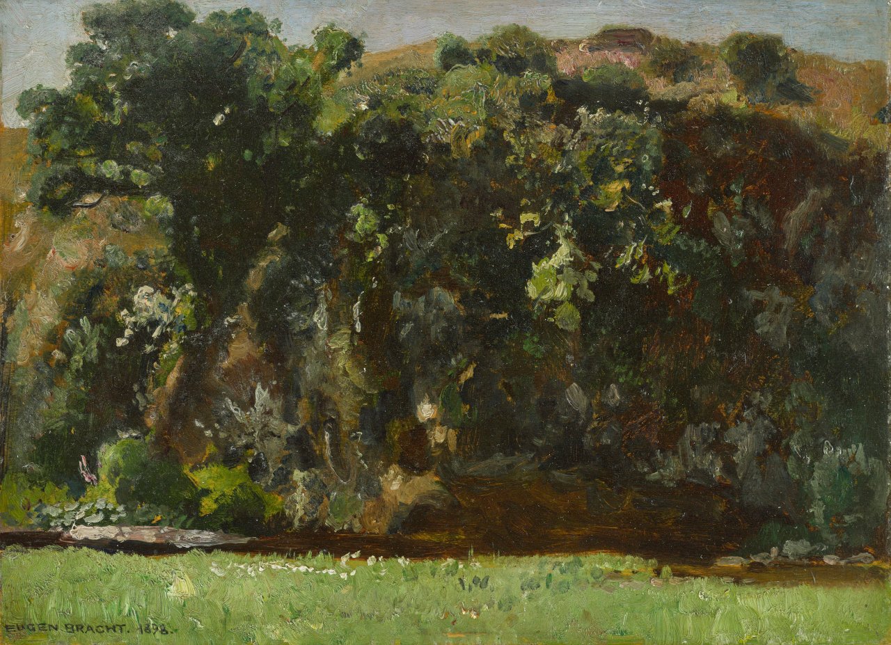 Auf diesem Bild ist das folgende Kunstwerk zu sehen: Eugen Bracht. „Hahnebach im Hunsrück“. 1898.