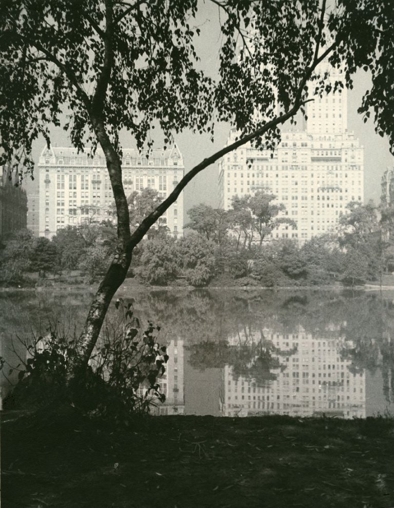 Auf diesem Bild ist das folgende Kunstwerk zu sehen: Drahomir Joseph Růžička. “‘Dreamy Palaces’ (from Central Park - early morning.)“. 1935.