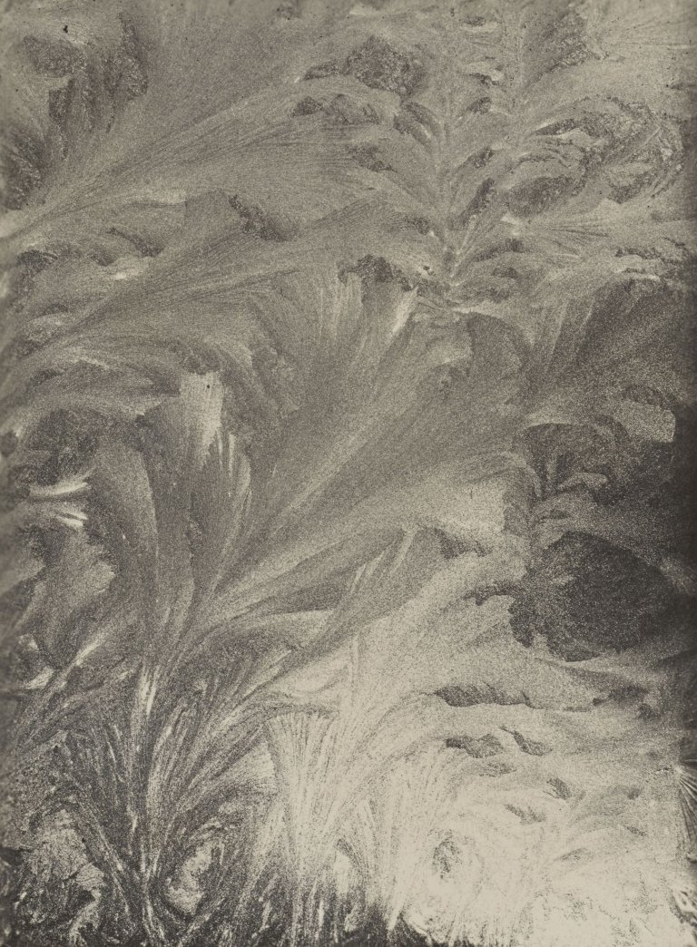 Auf diesem Bild ist das folgende Kunstwerk zu sehen: Aenne Biermann (d.i. Anna Sibylla Sternfeld). „Eisblumen“. 1929.