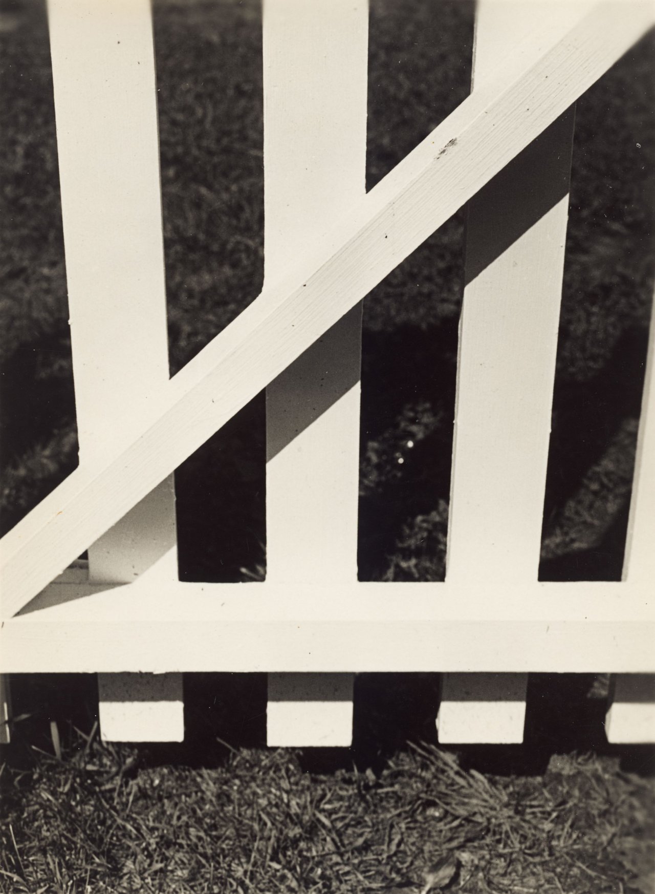 Auf diesem Bild ist das folgende Kunstwerk zu sehen: Dorothy Norman. White Fence. 1940.
