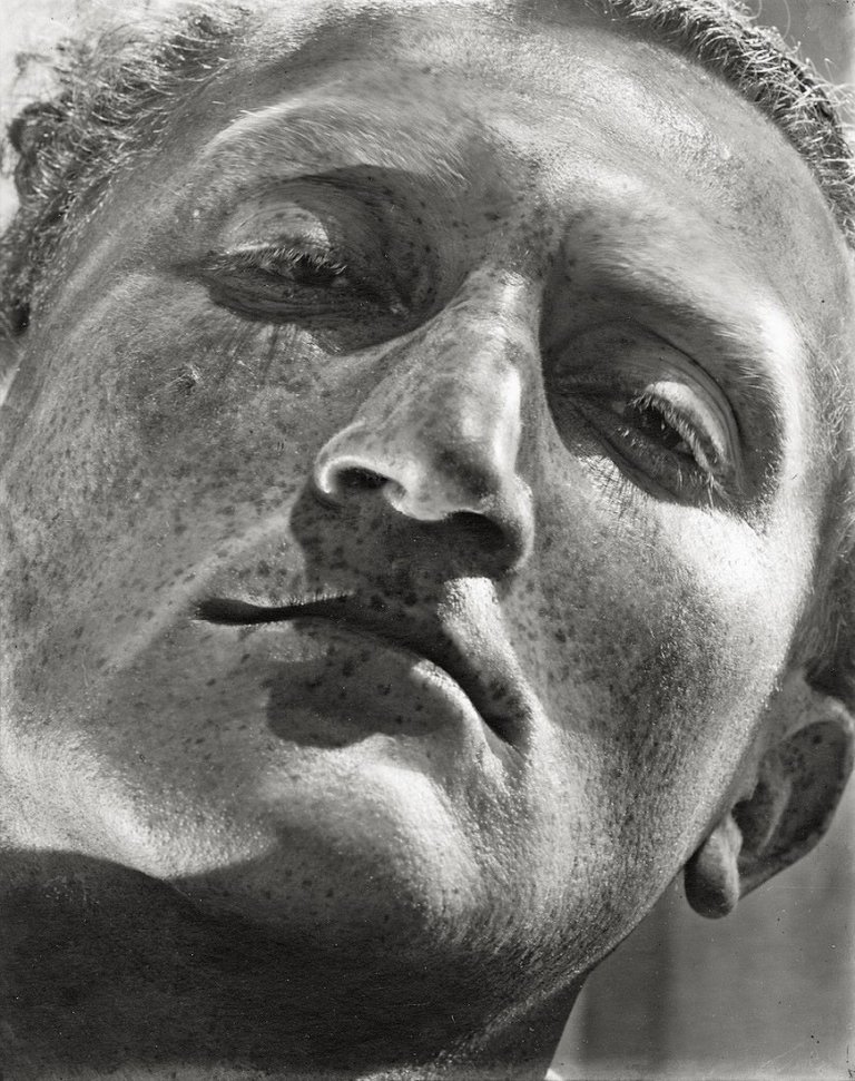 Auf diesem Bild ist das folgende Kunstwerk zu sehen: Helmar Lerski (d.i. Schmuklerski, Israel). Portfolio: Metamorphosis. 10 Aufnahmen aus einem einzigartigen Experiment. 1935–1936.