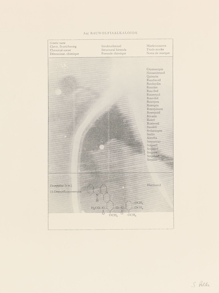 Auf diesem Bild ist das folgende Kunstwerk zu sehen: Sigmar Polke. „Fernsehbild Eishockey (Rauwolfialkaloide)“. 1973.