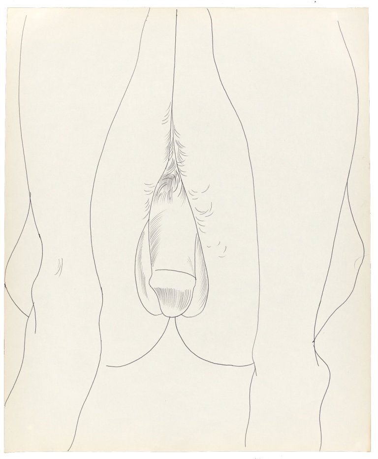 This picture shows the following artwork: Andy Warhol. Seated Male Nude. 1950s.