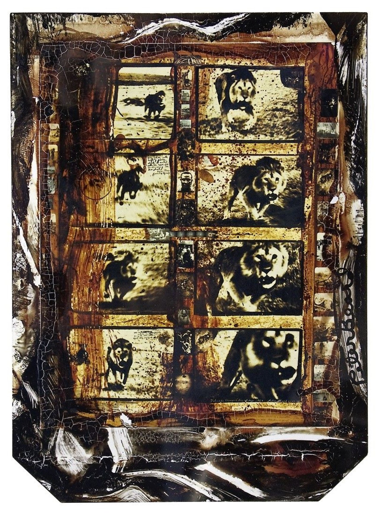 This picture shows the following artwork: Peter Beard. Loliondo Lion Charge. 1964.