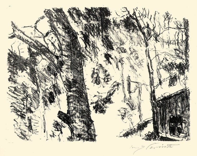 This picture shows the following artwork: Lovis Corinth. „Buchenwald“. 1921.
