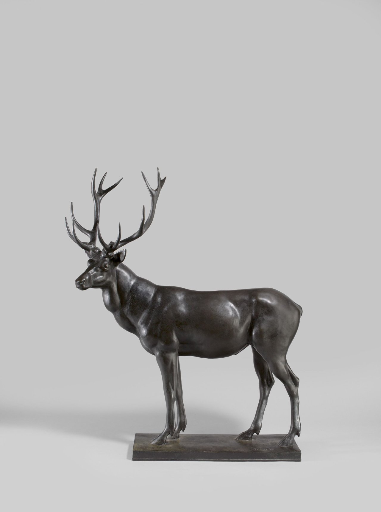 Catalog image of Stehender Hirsch. Nach 1907