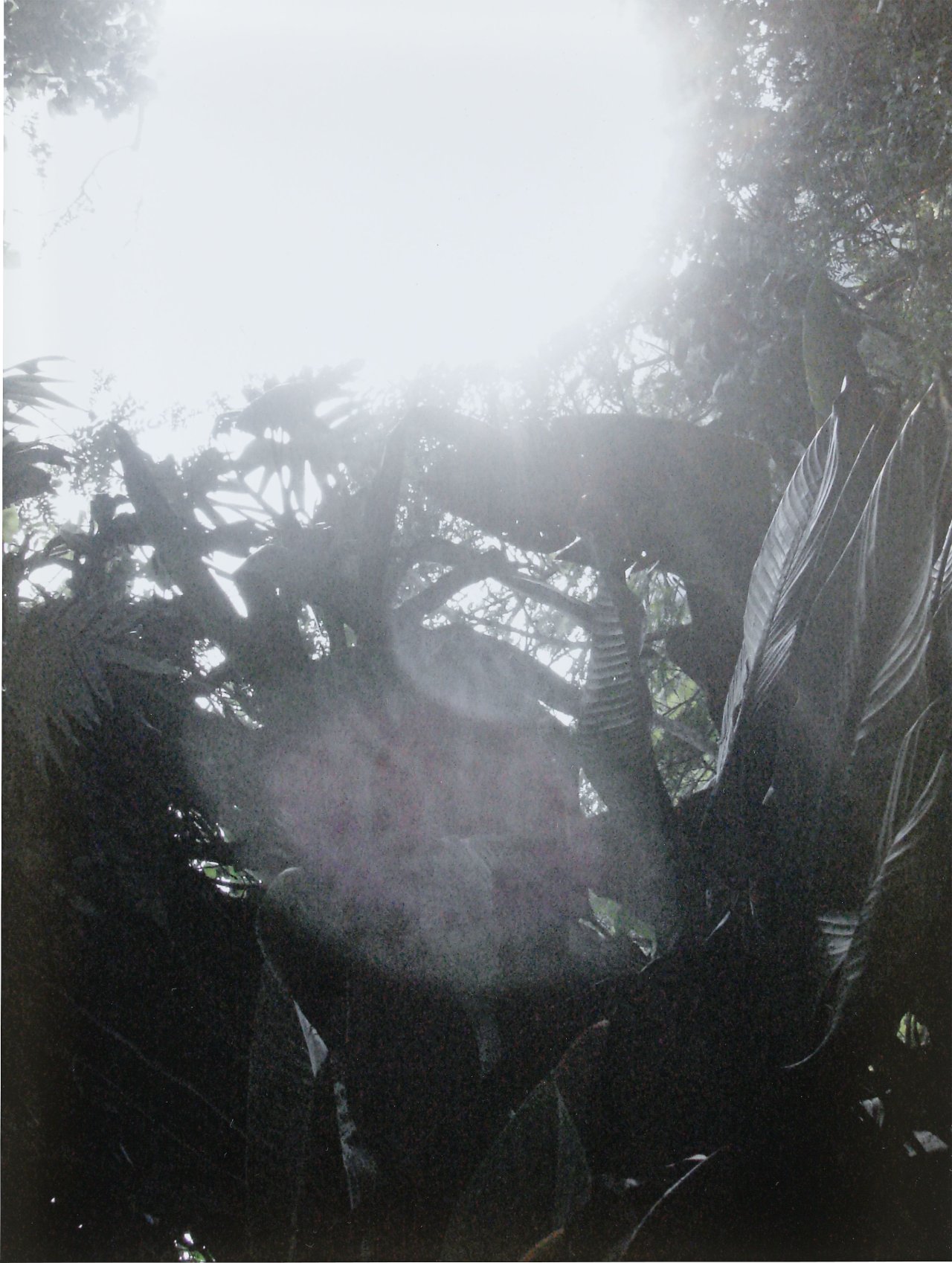 This picture shows the following artwork: Agnieszka Brzeżańska. Untitled. 2006.
