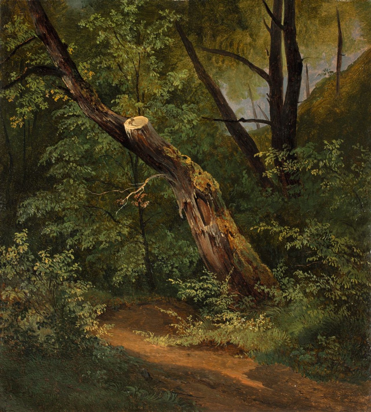 Auf diesem Bild ist das folgende Kunstwerk zu sehen:  Österreichisch, um 1830. Baumstudie.