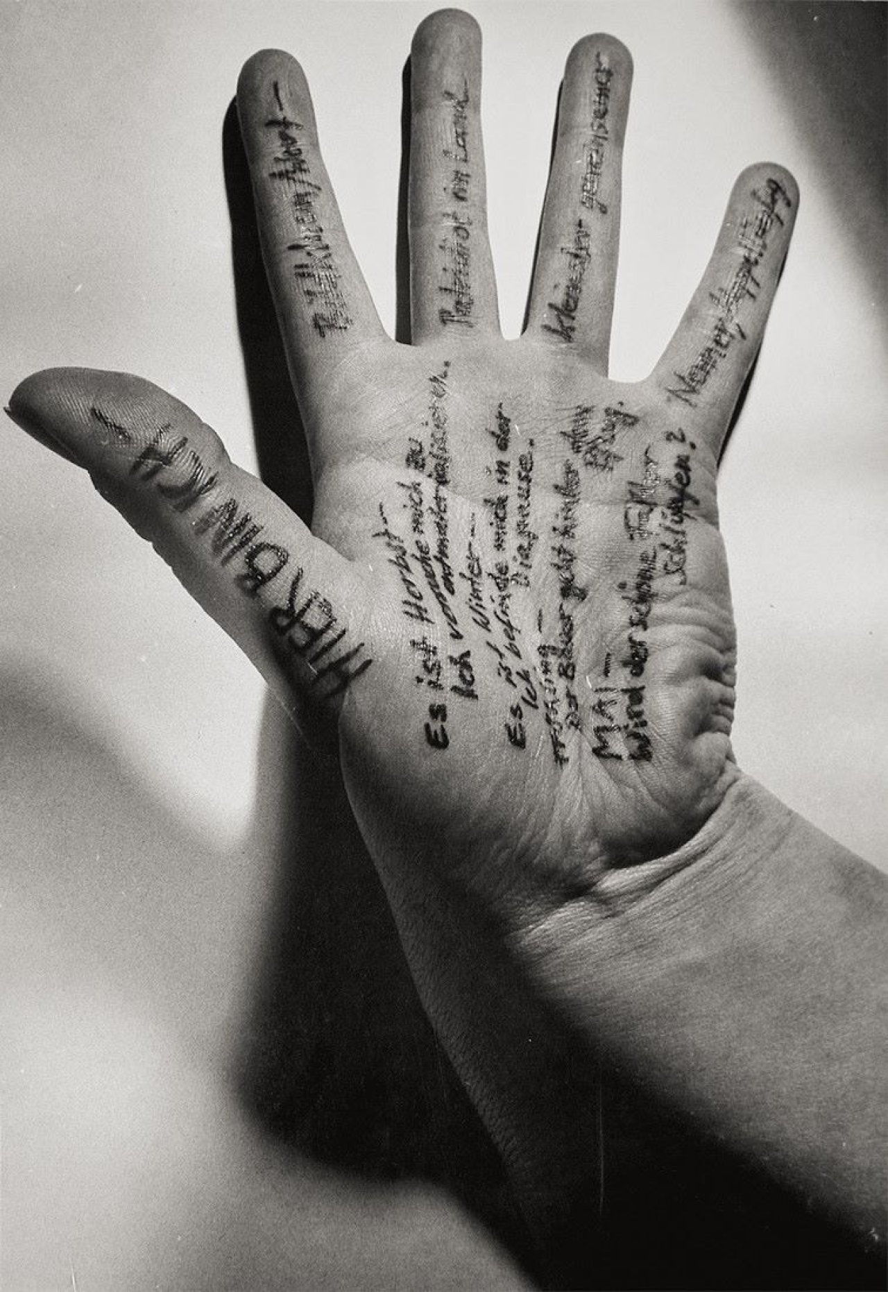 This picture shows the following artwork:  Portfolio. Ohne Titel (Konzeptionelle Photographie). 1987.