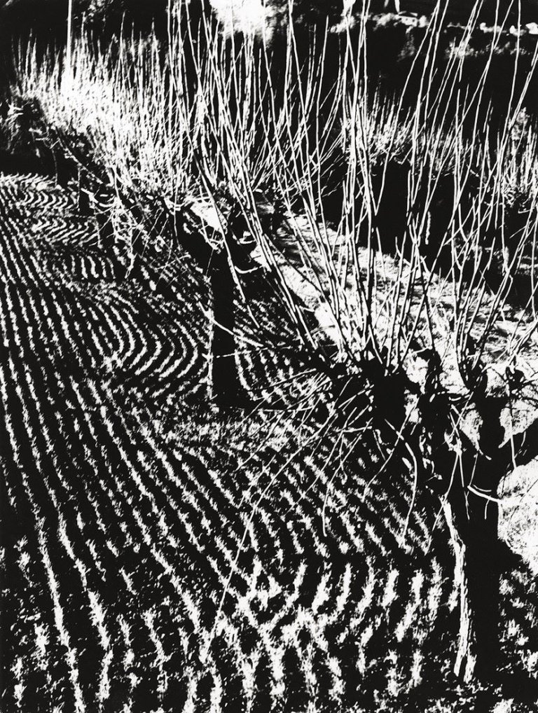 Auf diesem Bild ist das folgende Kunstwerk zu sehen: Mario Giacomelli. Ohne Titel, aus der Serie „Paesaggi“. 1956–1970.