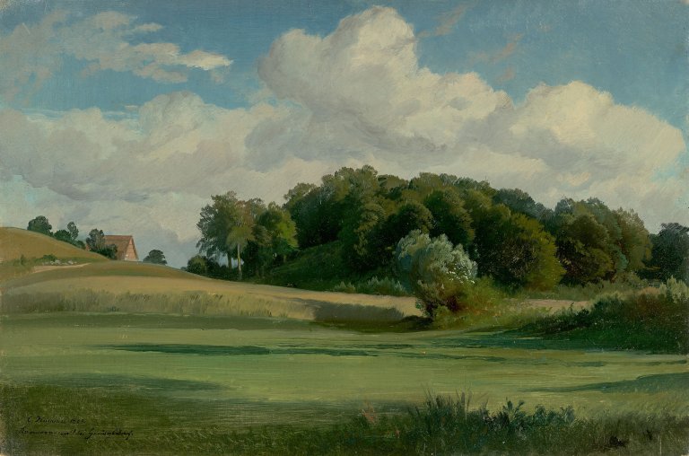 Auf diesem Bild ist das folgende Kunstwerk zu sehen: Carl Hummel. „Kormoranswald bei Heringsdorf“. 1863.