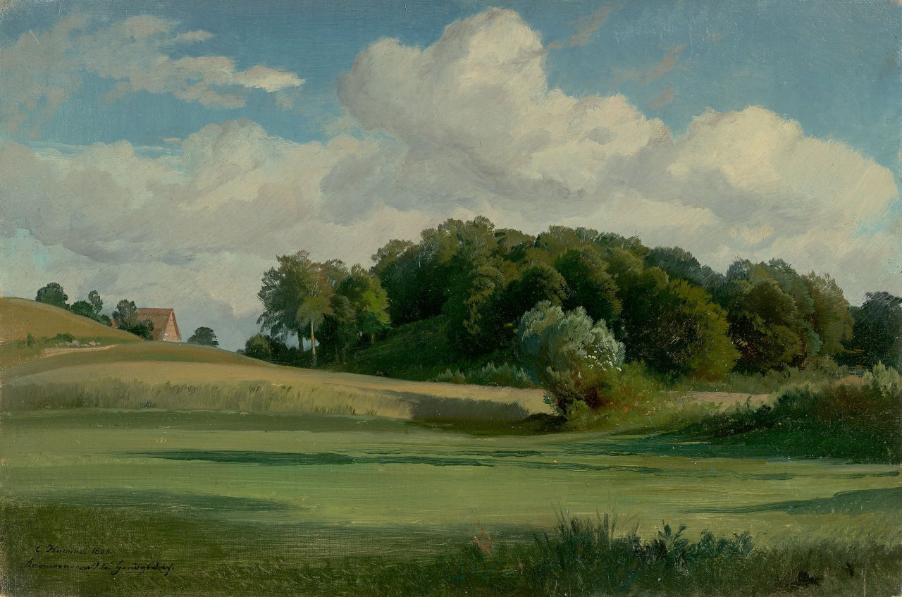 Auf diesem Bild ist das folgende Kunstwerk zu sehen: Carl Hummel. „Kormoranswald bei Heringsdorf“. 1863.