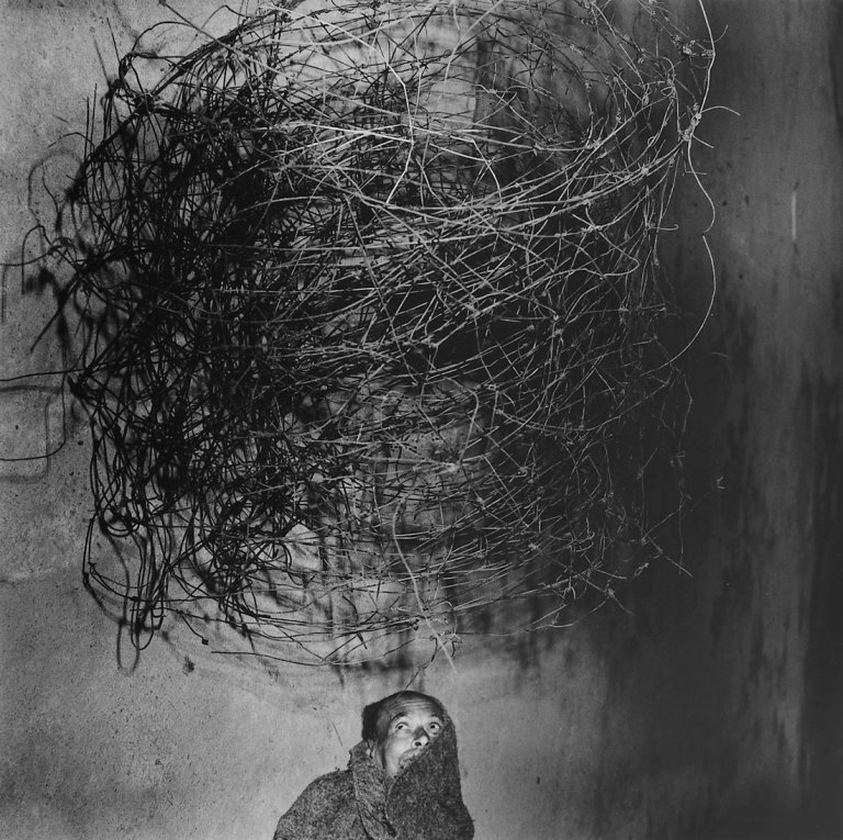 Auf diesem Bild ist das folgende Kunstwerk zu sehen: Roger Ballen. „Twirling Wires“. 2001.